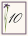 Wispy Iris  Table Numbers
