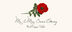 Red Poppy  Place Cards